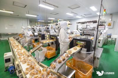 區內企業投資管理 策略、挑戰與優化路徑